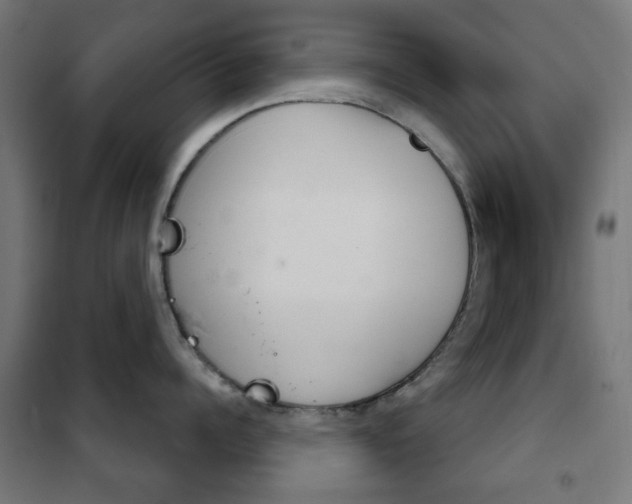 X0000102240960200807250834