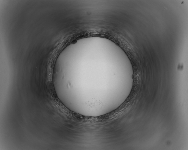 X0000102240961200807250834