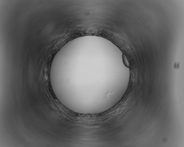 X0000102240962200807250834