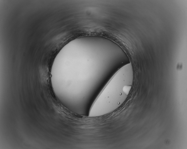 X0000102240963200807250834