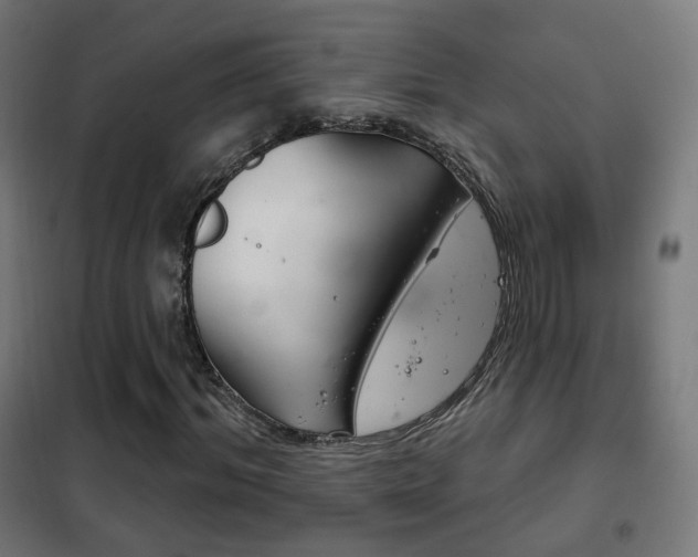 X0000102240964200807250834