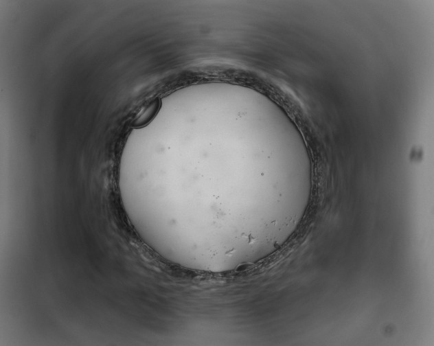 X0000102240965200807250834
