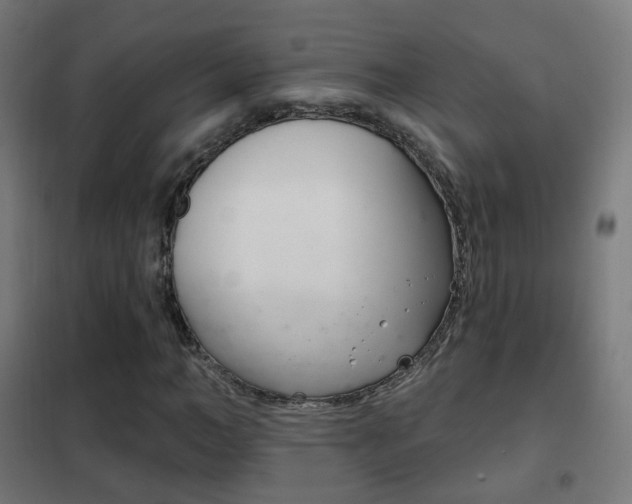 X0000102240966200807250834