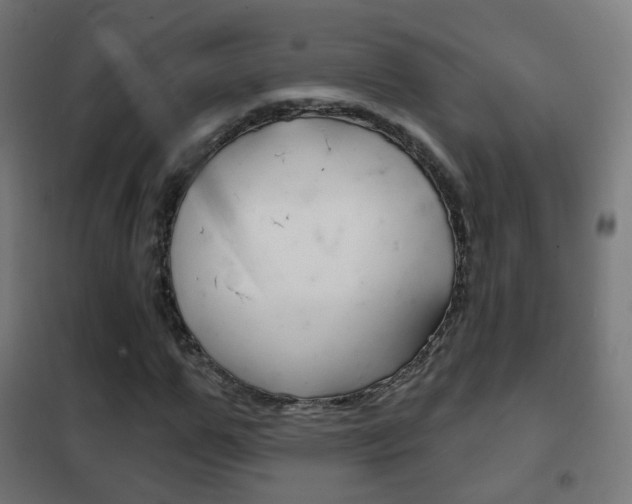 X0000102240967200807250834
