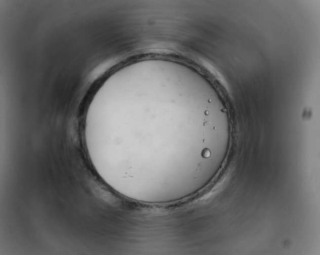 X0000102240970200807250834