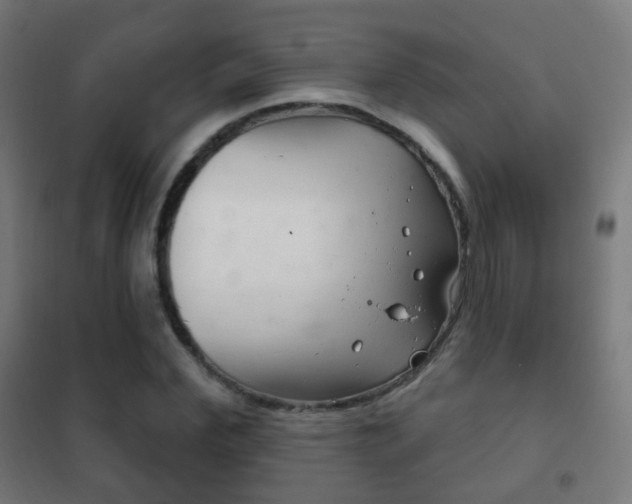 X0000102240972200807250834