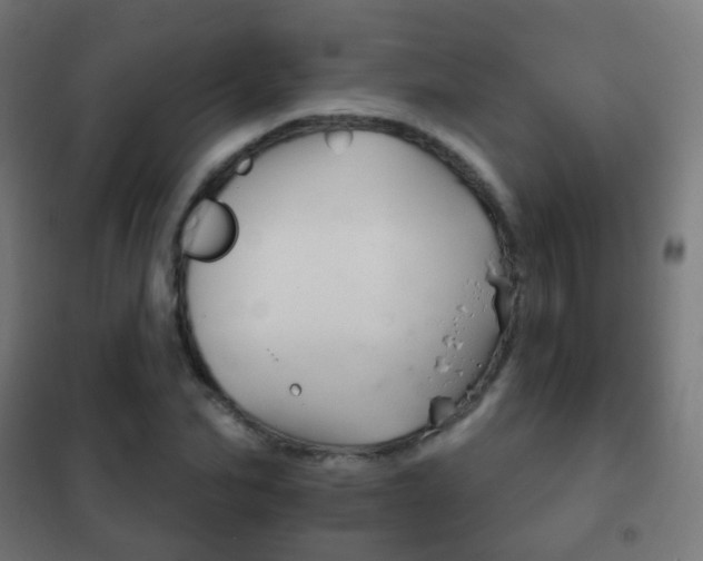 X0000102240974200807250834