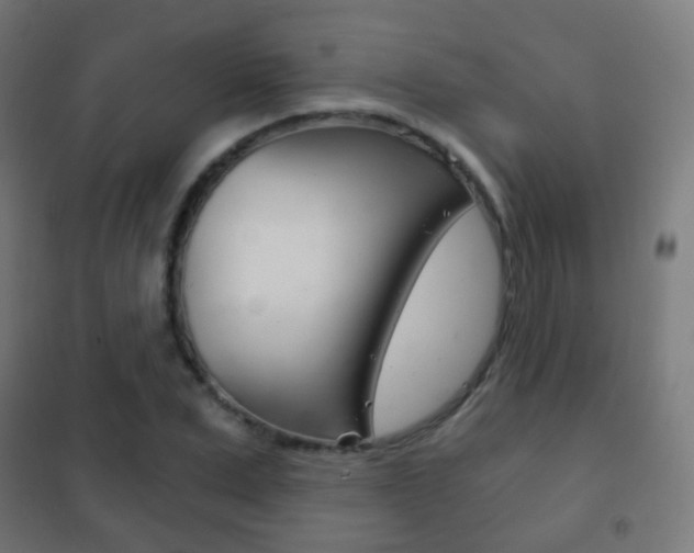X0000102240975200807250834