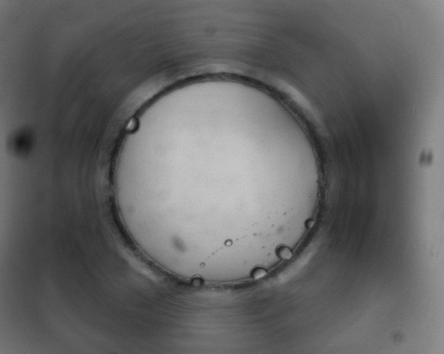 X0000102240977200807250834