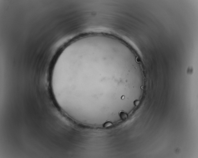 X0000102240979200807250833