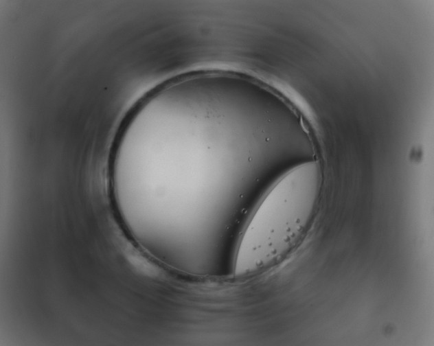 X0000102240980200807250833