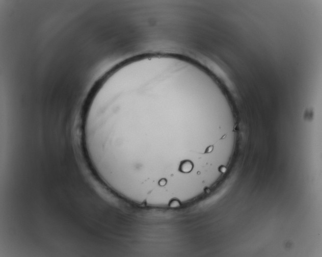 X0000102240981200807250833