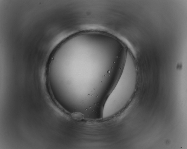 X0000102240983200807250833