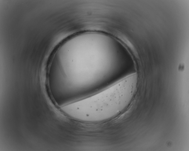 X0000102240984200807250833