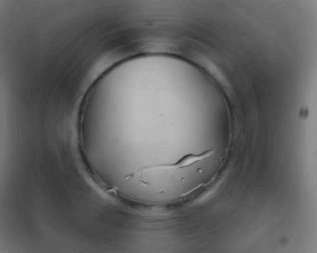 X0000102240986200807250833
