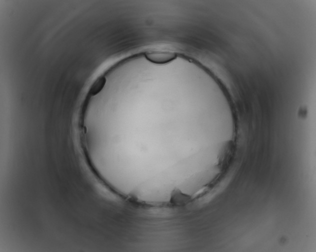 X0000102240989200807250833