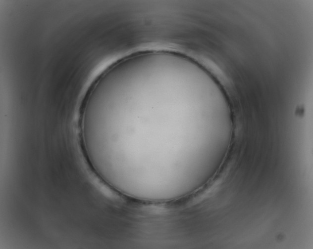X0000102240990200807250833
