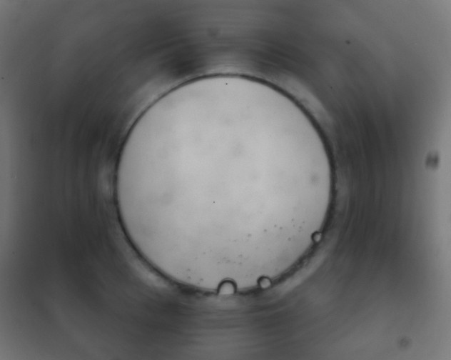 X0000102240993200807250833