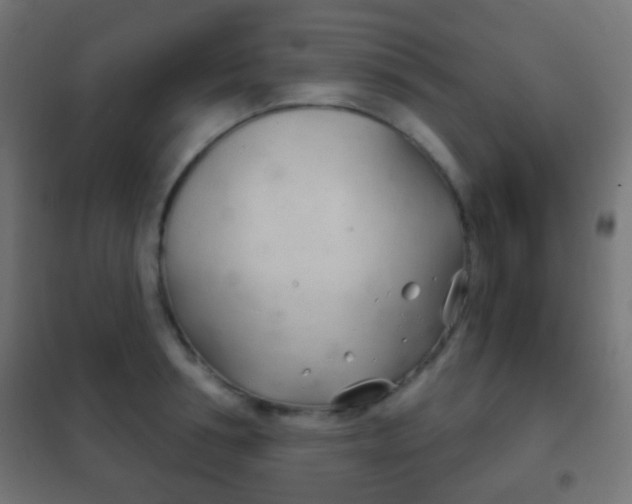 X0000102240994200807250833