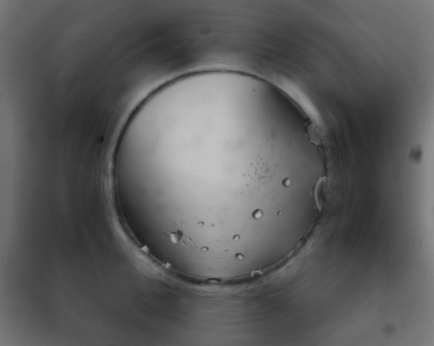 X0000102240996200807250833