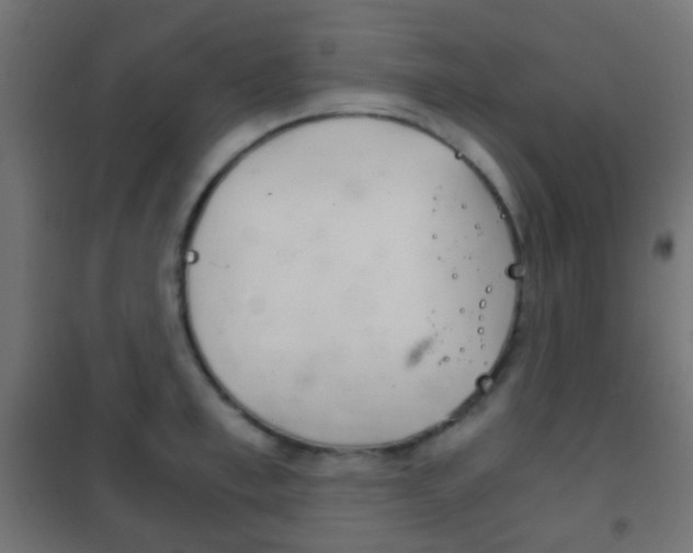 X0000102240997200807250833