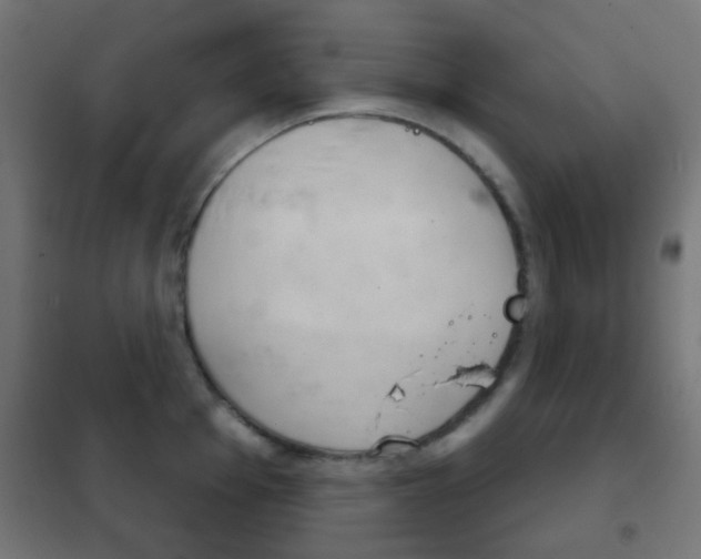 X0000102241001200807250833