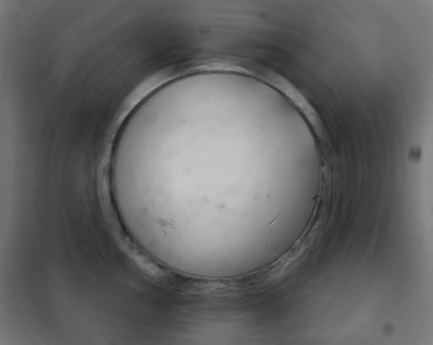 X0000102241002200807250833