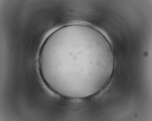 X0000102241003200807250833