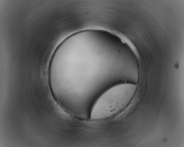 X0000102241004200807250833