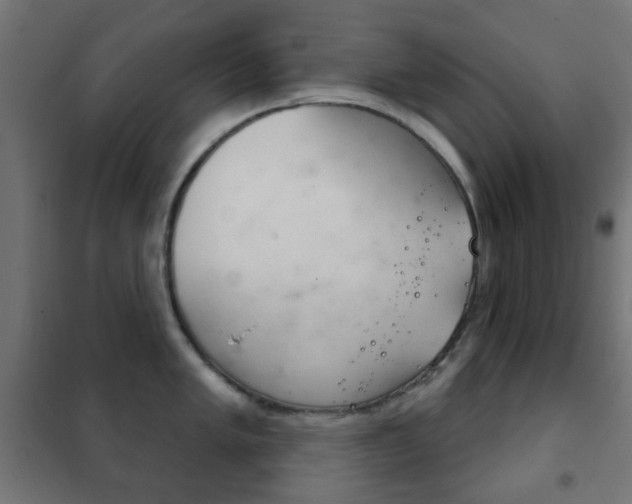 X0000102241005200807250833