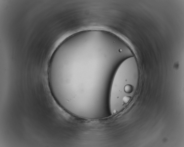 X0000102241006200807250833