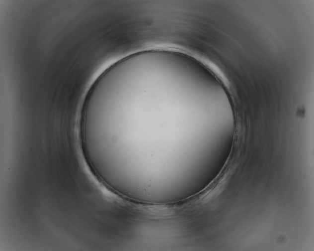 X0000102241007200807250833