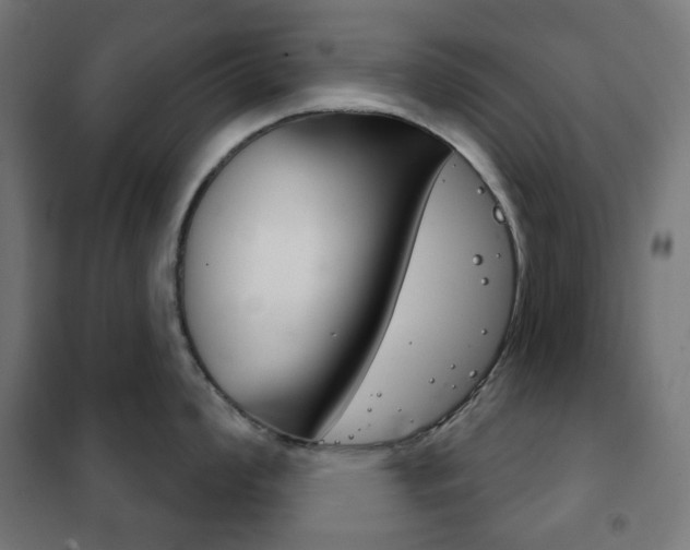 X0000102241008200807250833