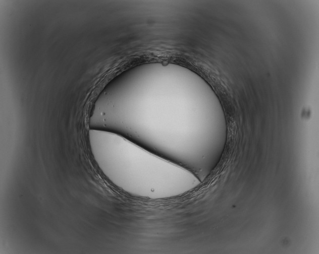 X0000102241009200807250832