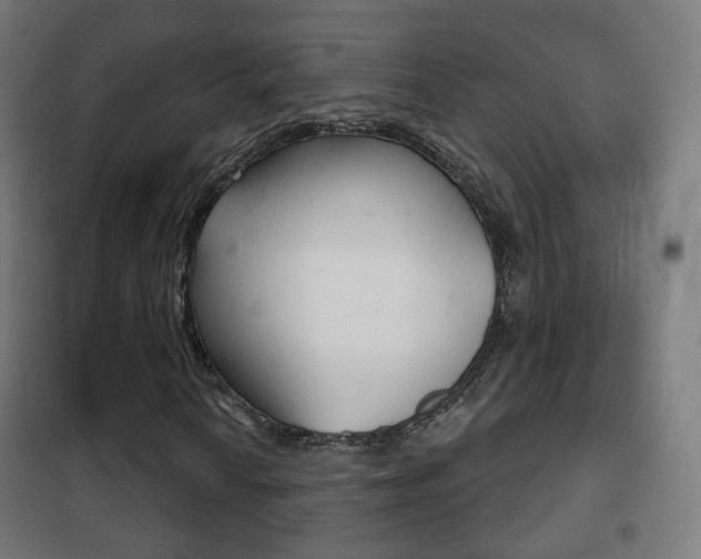 X0000102241010200807250832