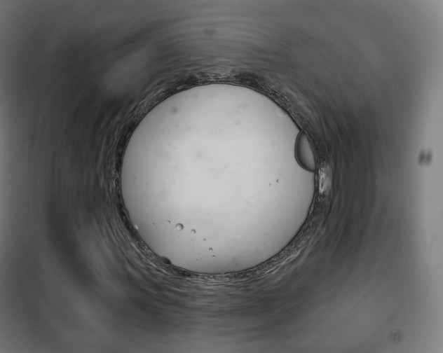 X0000102241011200807250832