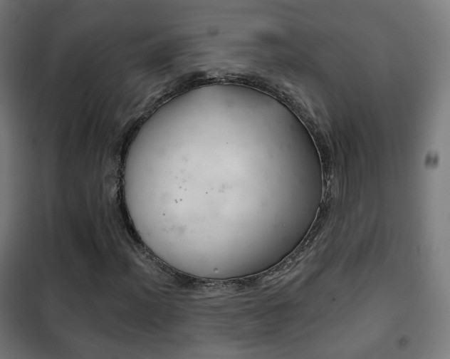 X0000102241012200807250832