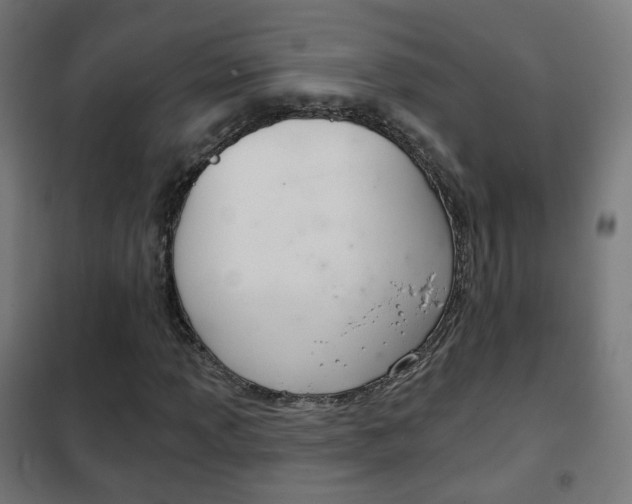 X0000102241013200807250832