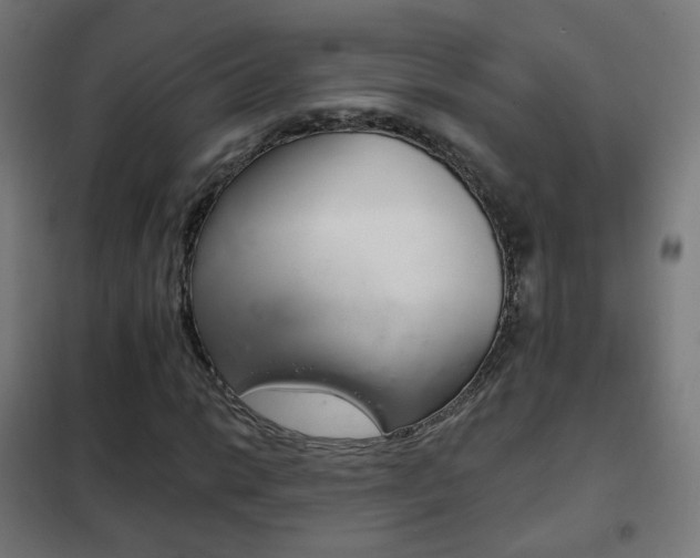 X0000102241014200807250833