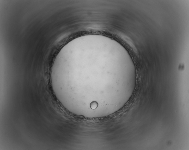 X0000102241015200807250833