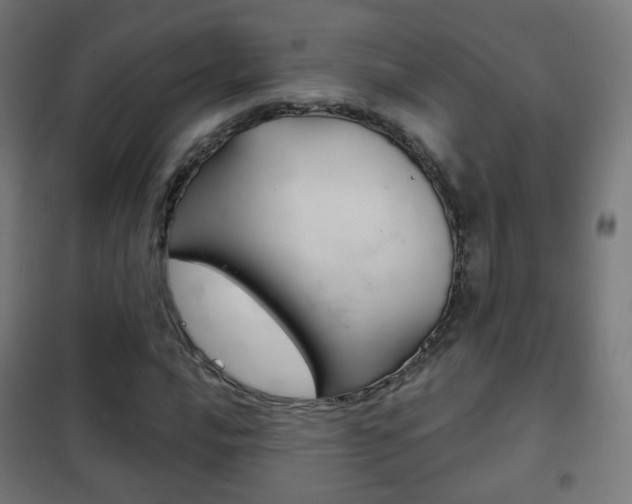 X0000102241016200807250833