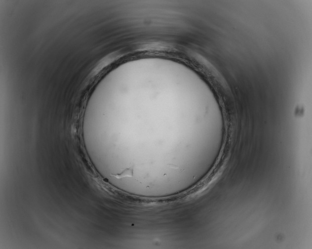 X0000102241017200807250833