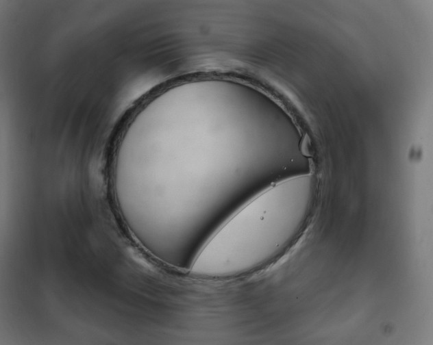 X0000102241018200807250833