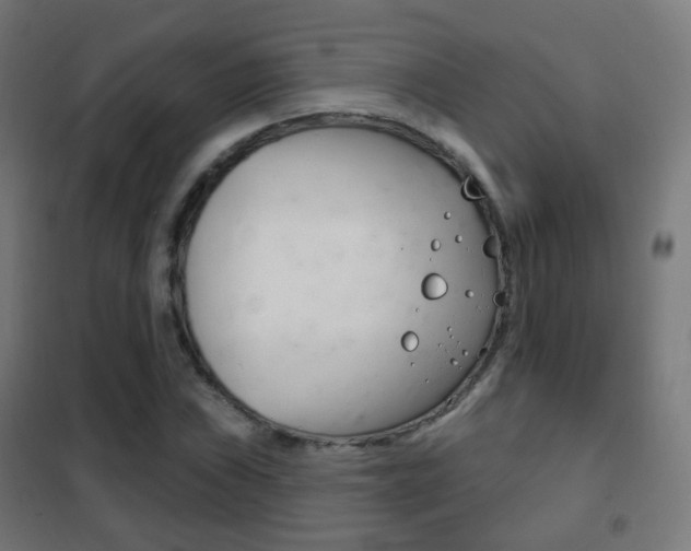 X0000102241019200807250833