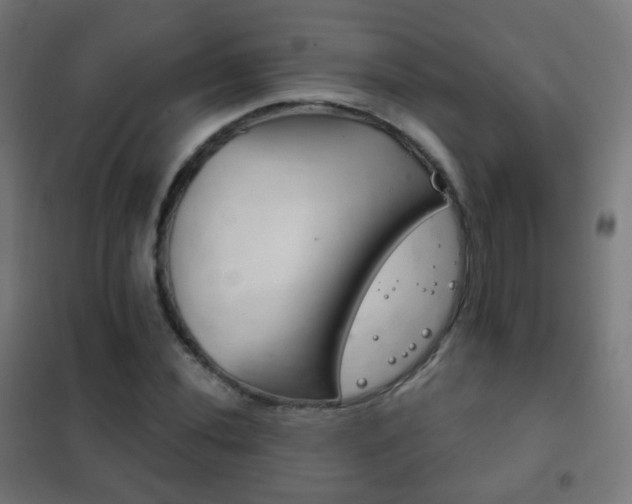 X0000102241020200807250833