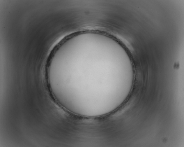 X0000102241023200807250833