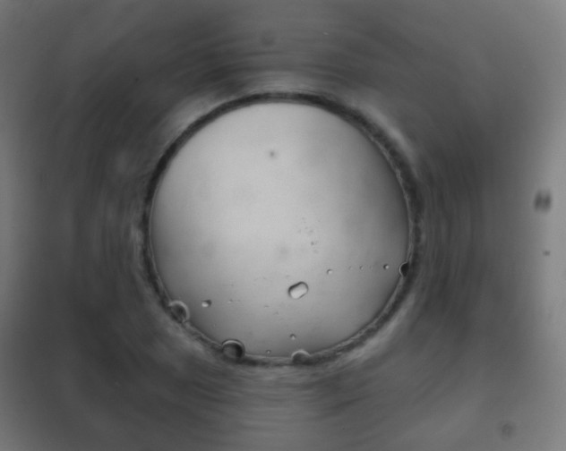 X0000102241025200807250833