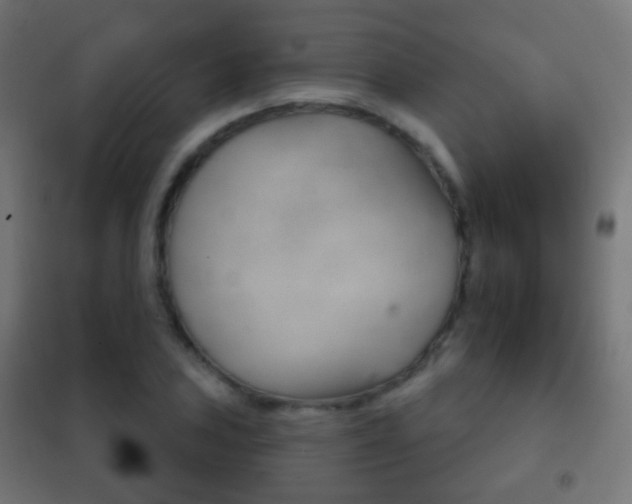 X0000102241027200807250833