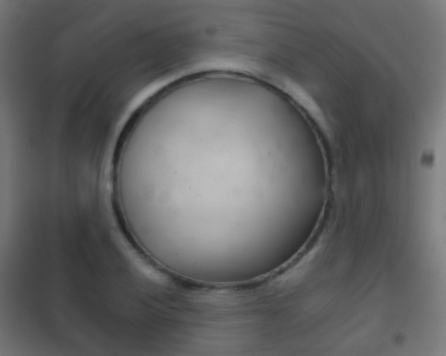 X0000102241028200807250833