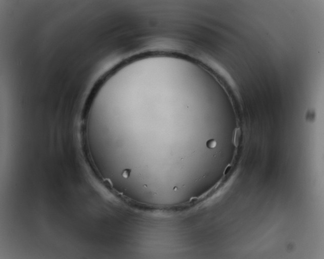 X0000102241029200807250833